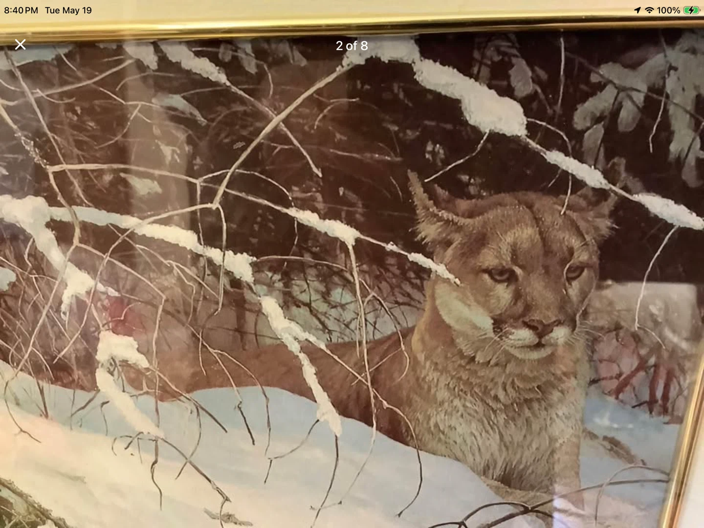 Robert Bateman’s Vt Print “Cougar in the Snow” 🐞 - photo 2