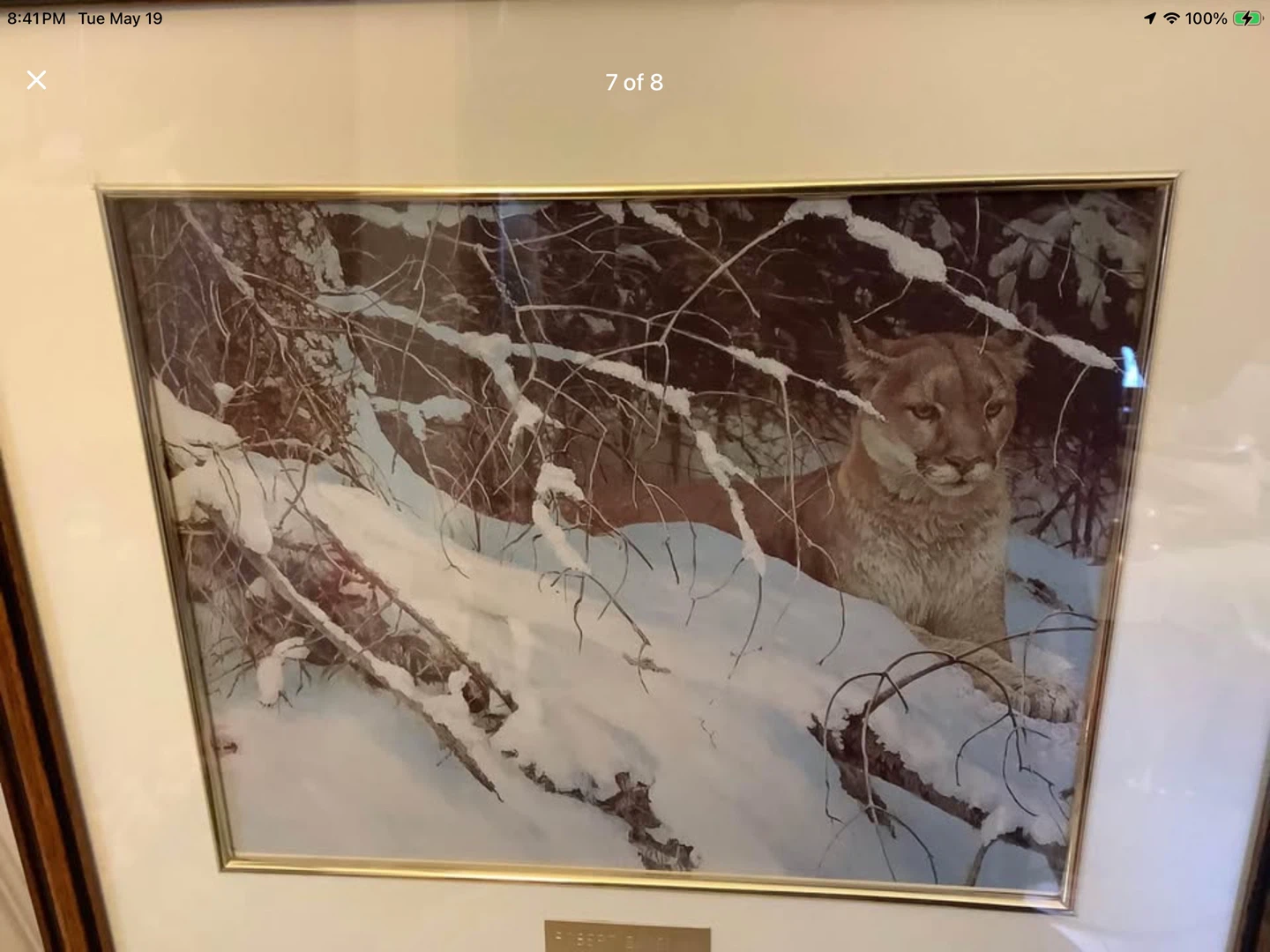 Robert Bateman’s Vt Print “Cougar in the Snow” 🐞 - photo 5