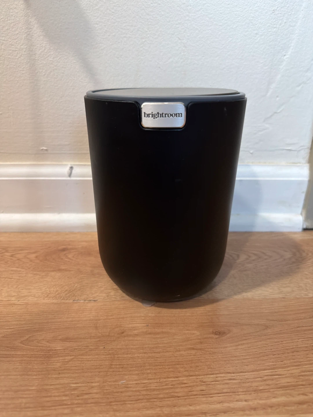 Brightroom Black Trash Can