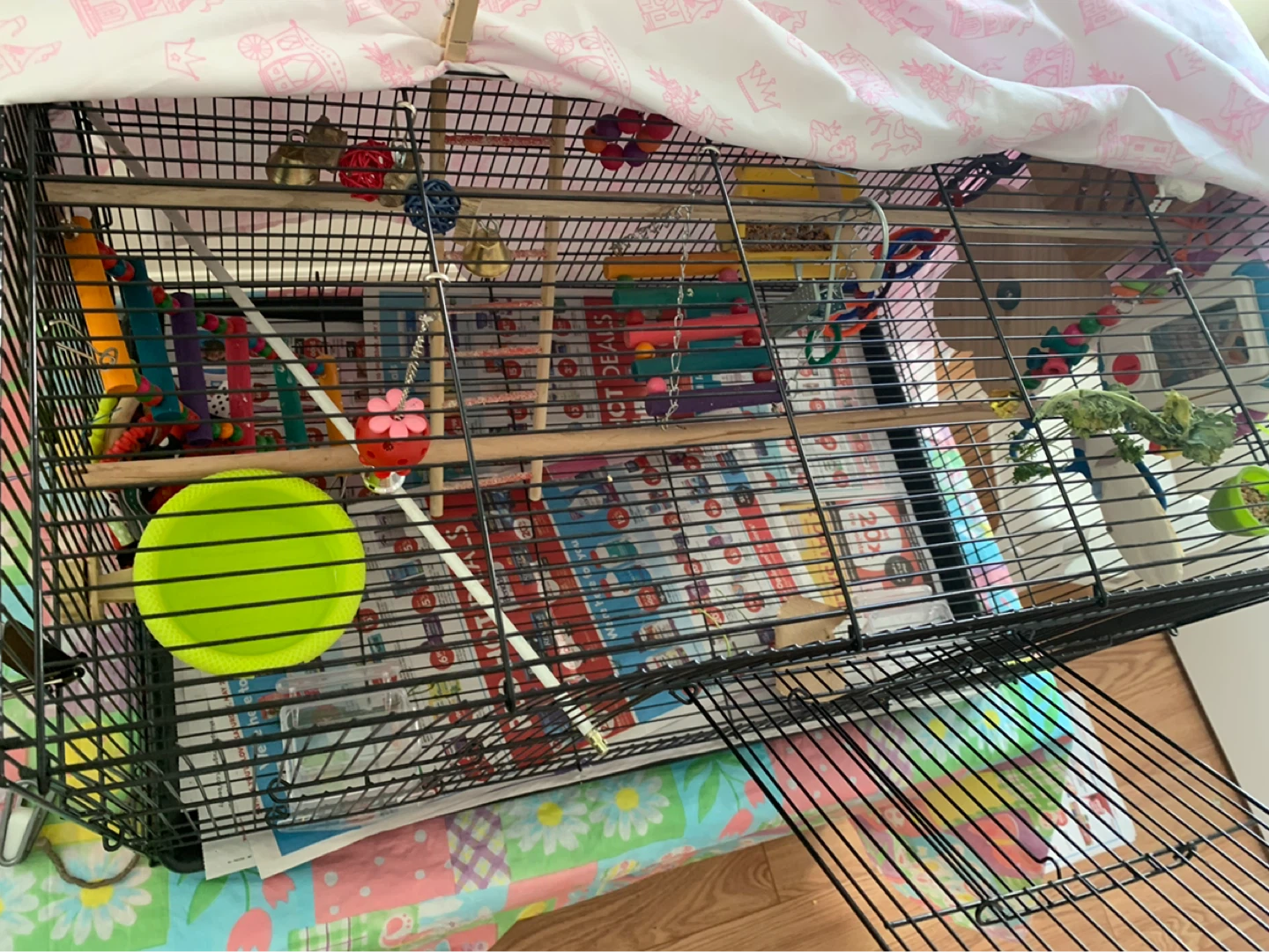 Bird Cage with Accessories