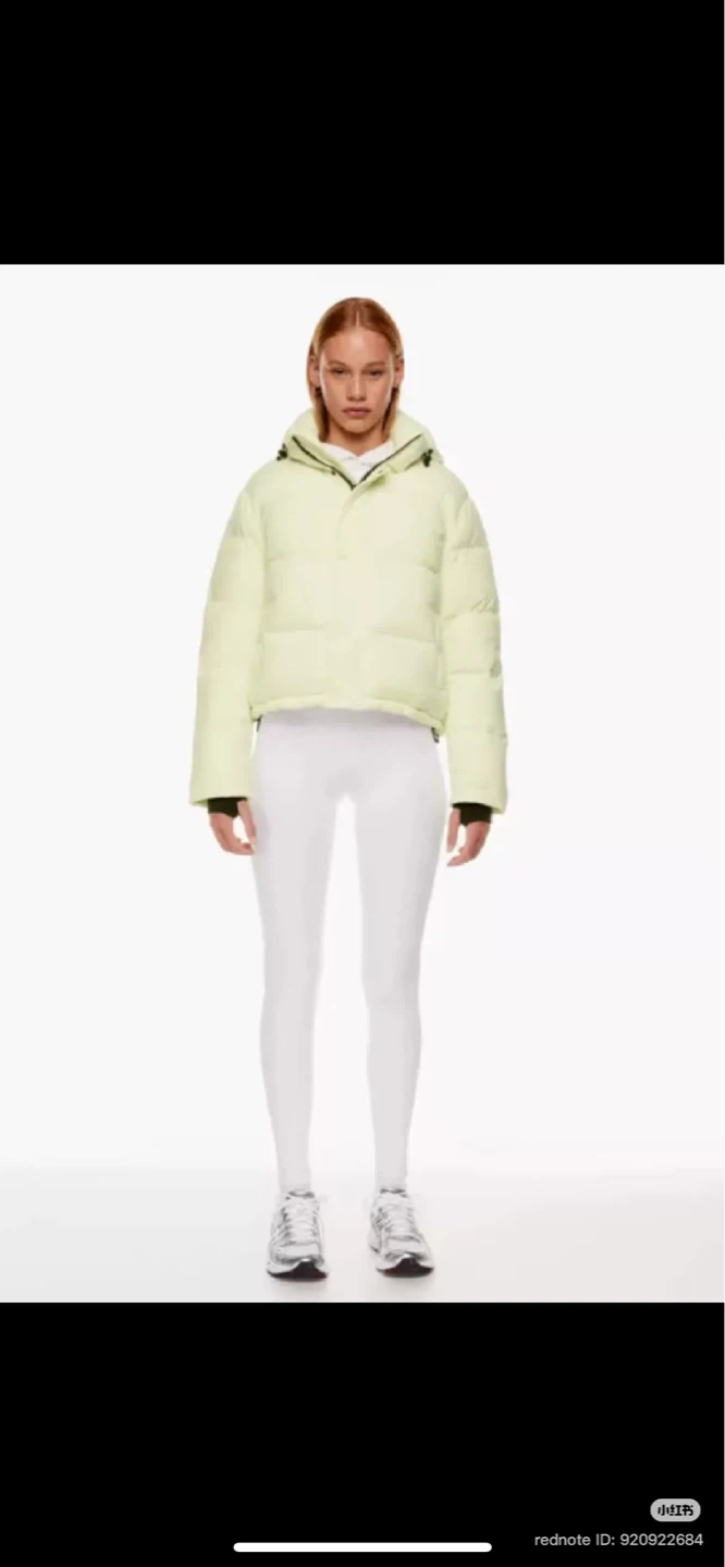 Aritzia brand new - ice pear Puffer Jacket