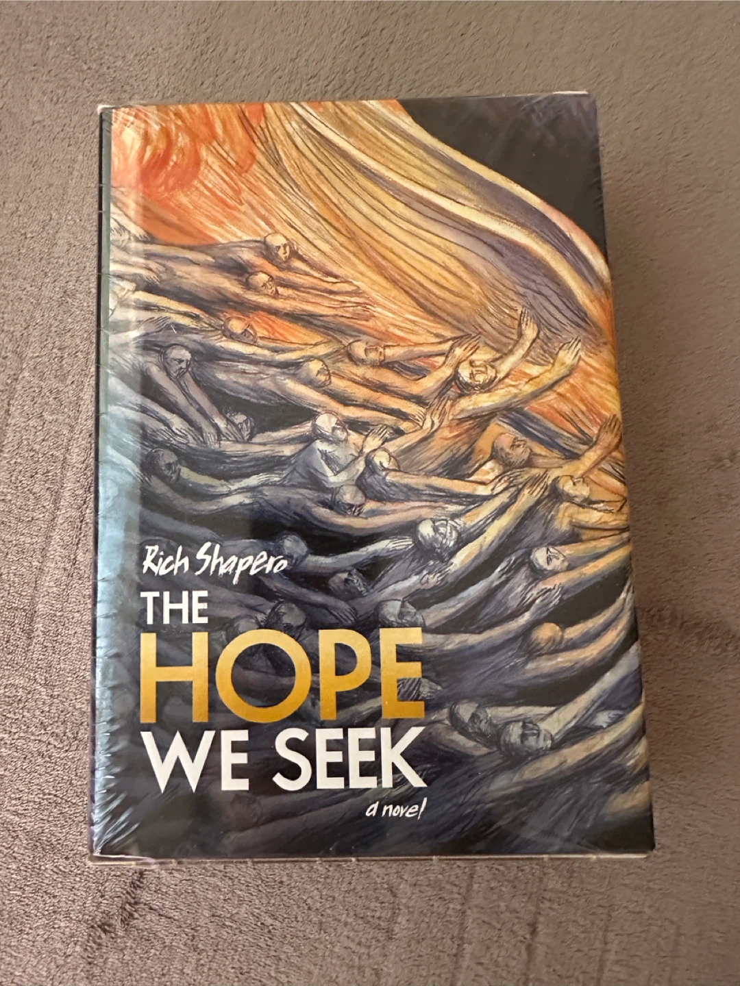 NEW The Hope We Seek: Songs from the Big Wheel Novel