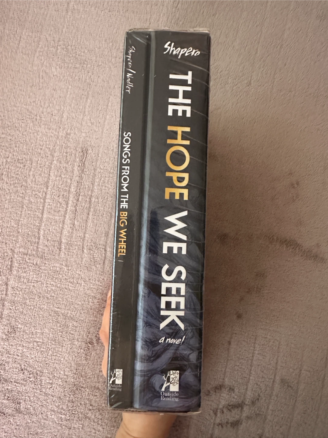 NEW The Hope We Seek: Songs from the Big Wheel Novel - photo 2