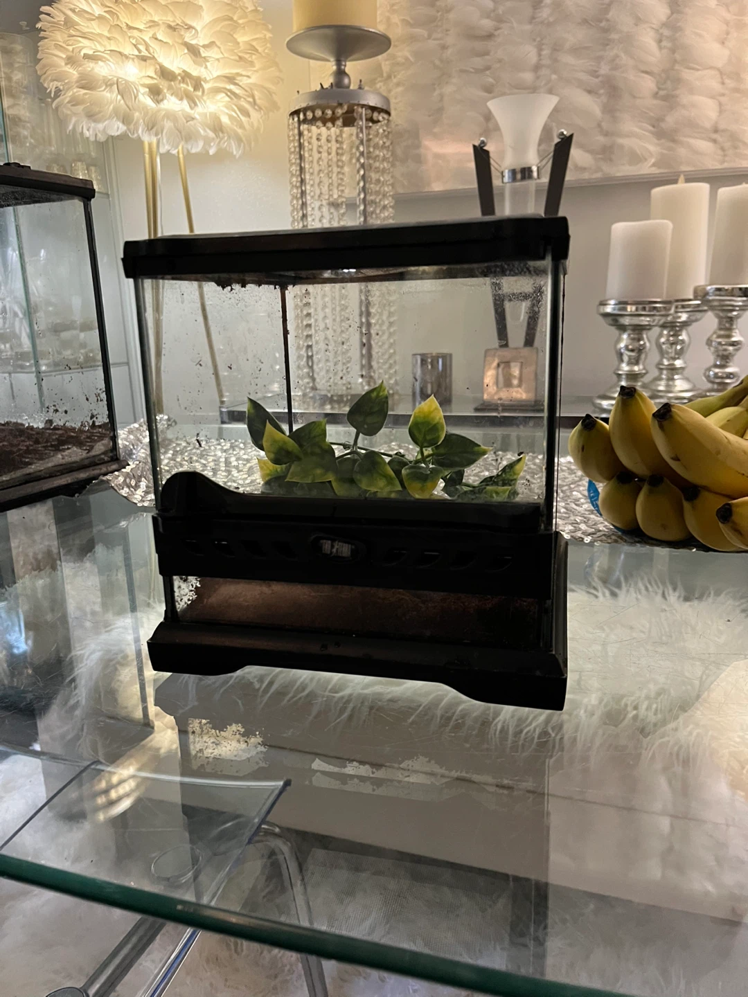 Lockable Eco Terra Terrarium 8x8x8