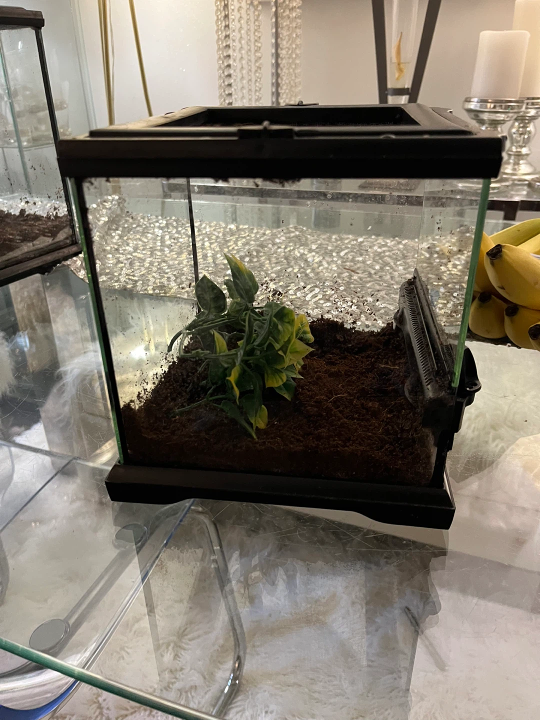 Lockable Eco Terra Terrarium 8x8x8 - photo 4