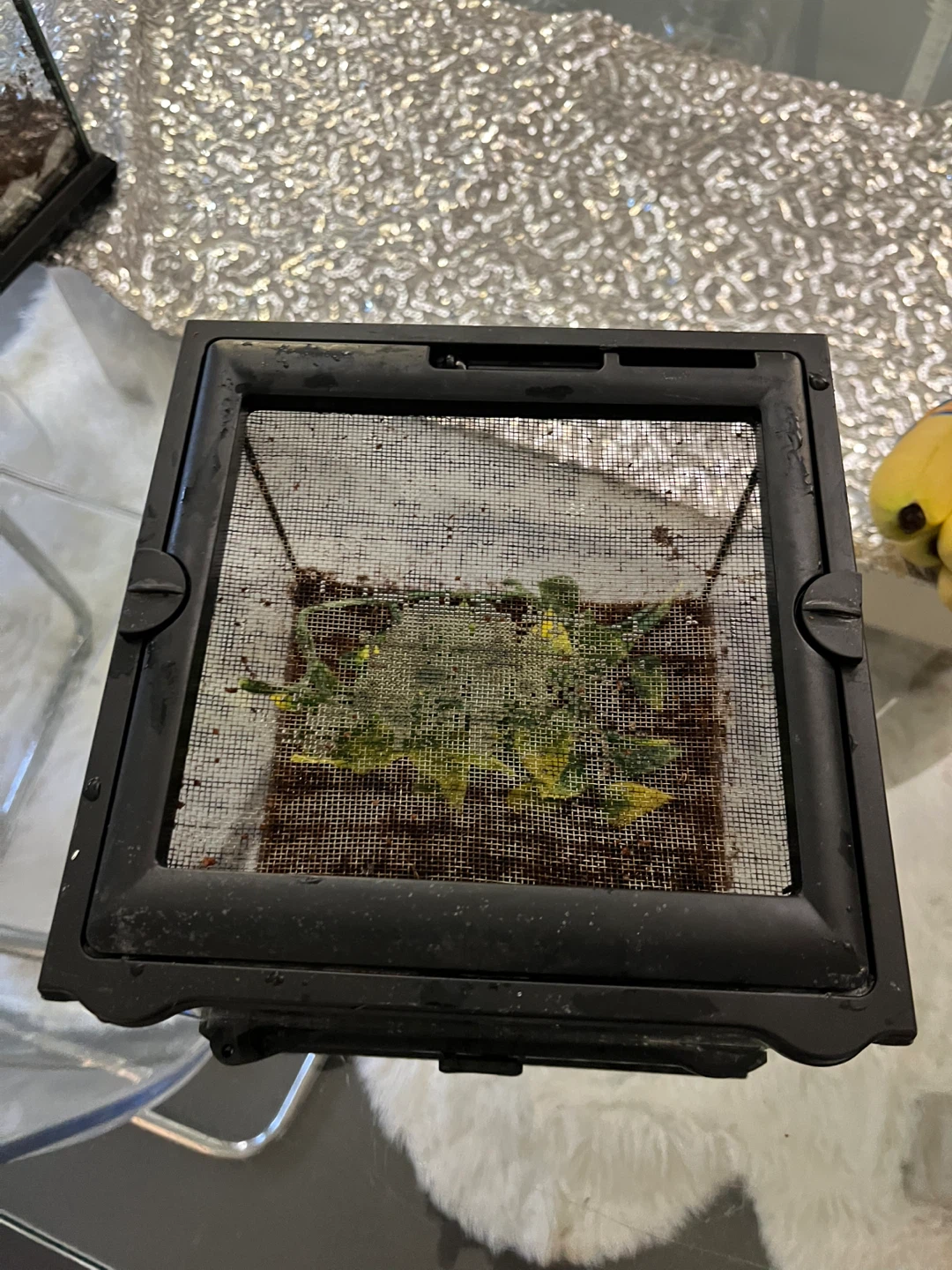 Lockable Eco Terra Terrarium 8x8x8 - photo 5