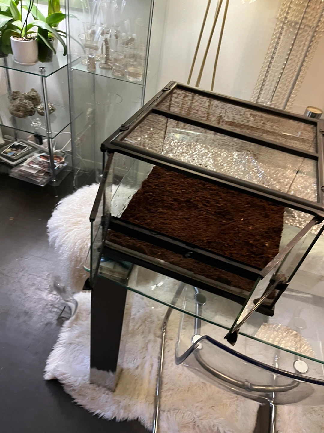 Lockable Exo Terra Terrarium 18x18x12 - photo 3