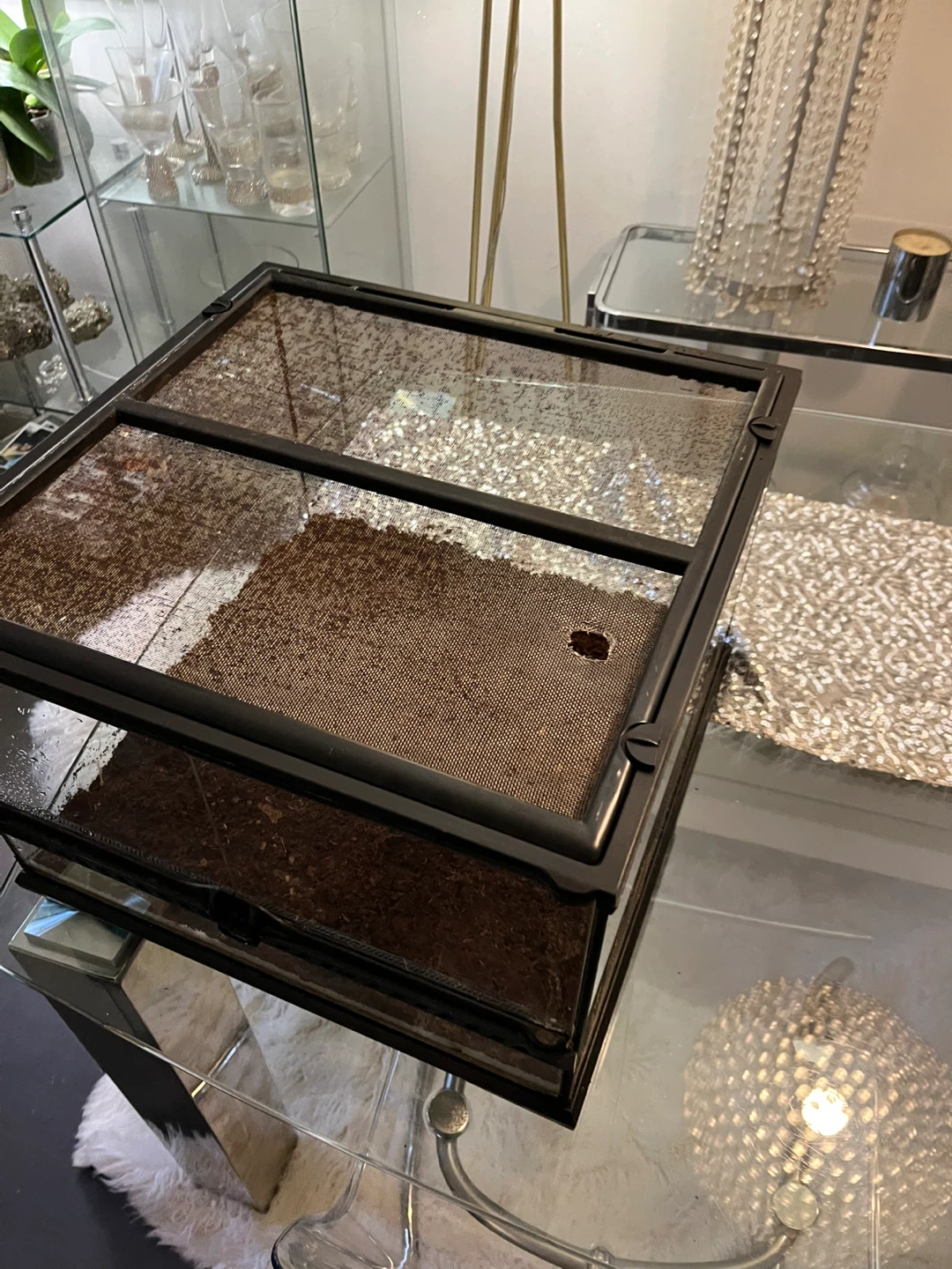 Lockable Exo Terra Terrarium 18x18x12 - photo 2