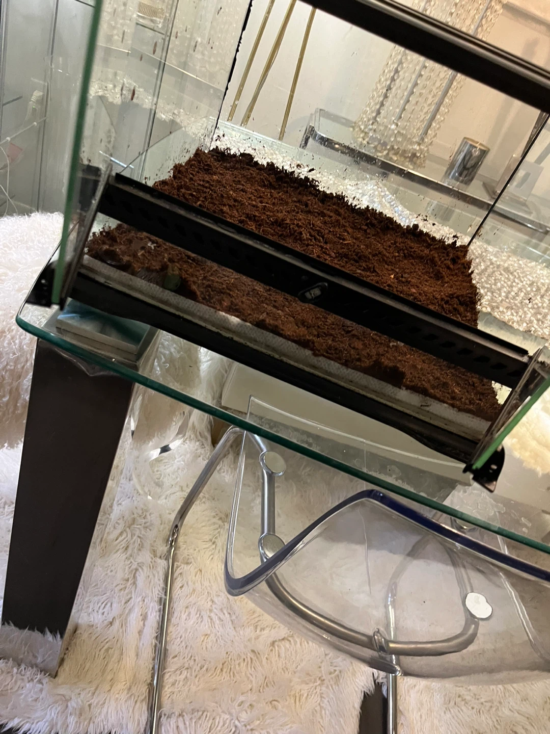 Lockable Exo Terra Terrarium 18x18x12 - photo 4