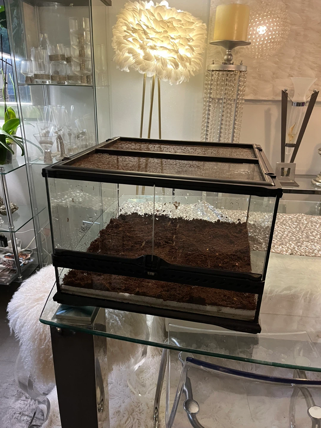 Lockable Exo Terra Terrarium 18x18x12