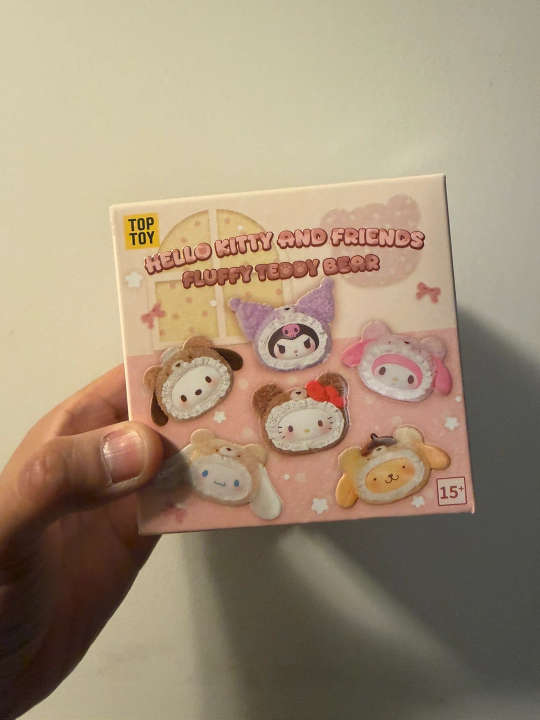 Hello Kitty and Friends Fluffy Teddy Bear blind box