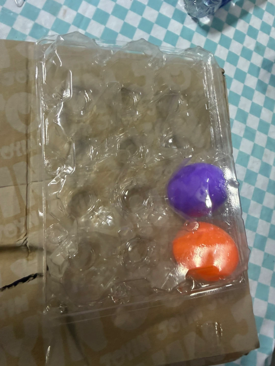Plastic Egg Containers - photo 3