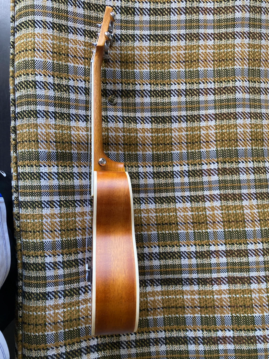 Everjoys Ukulele with Gig Bag and Accessories - photo 3