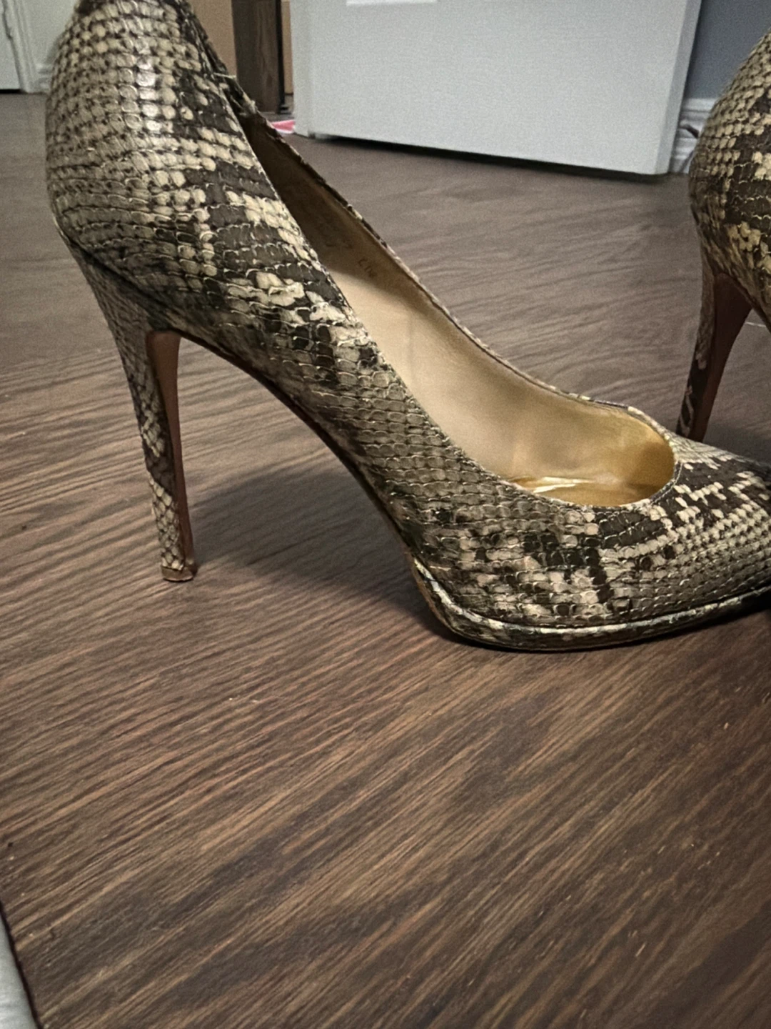 Coach Snake Print Heels - photo 2