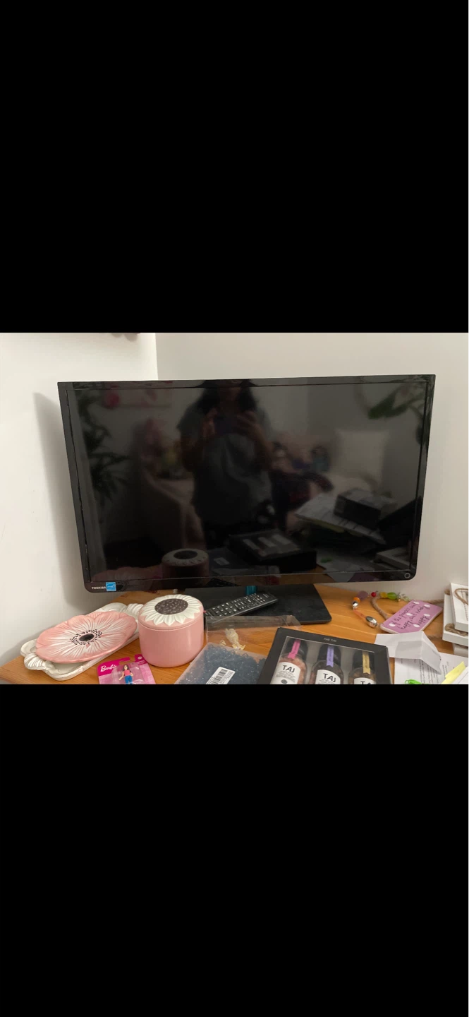 TVI Flat Screen Television-32”