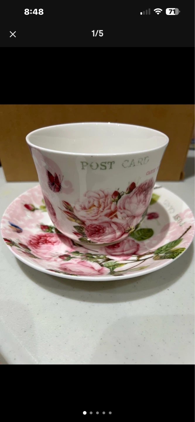 Vintage Rose Teacup and Saucer Set