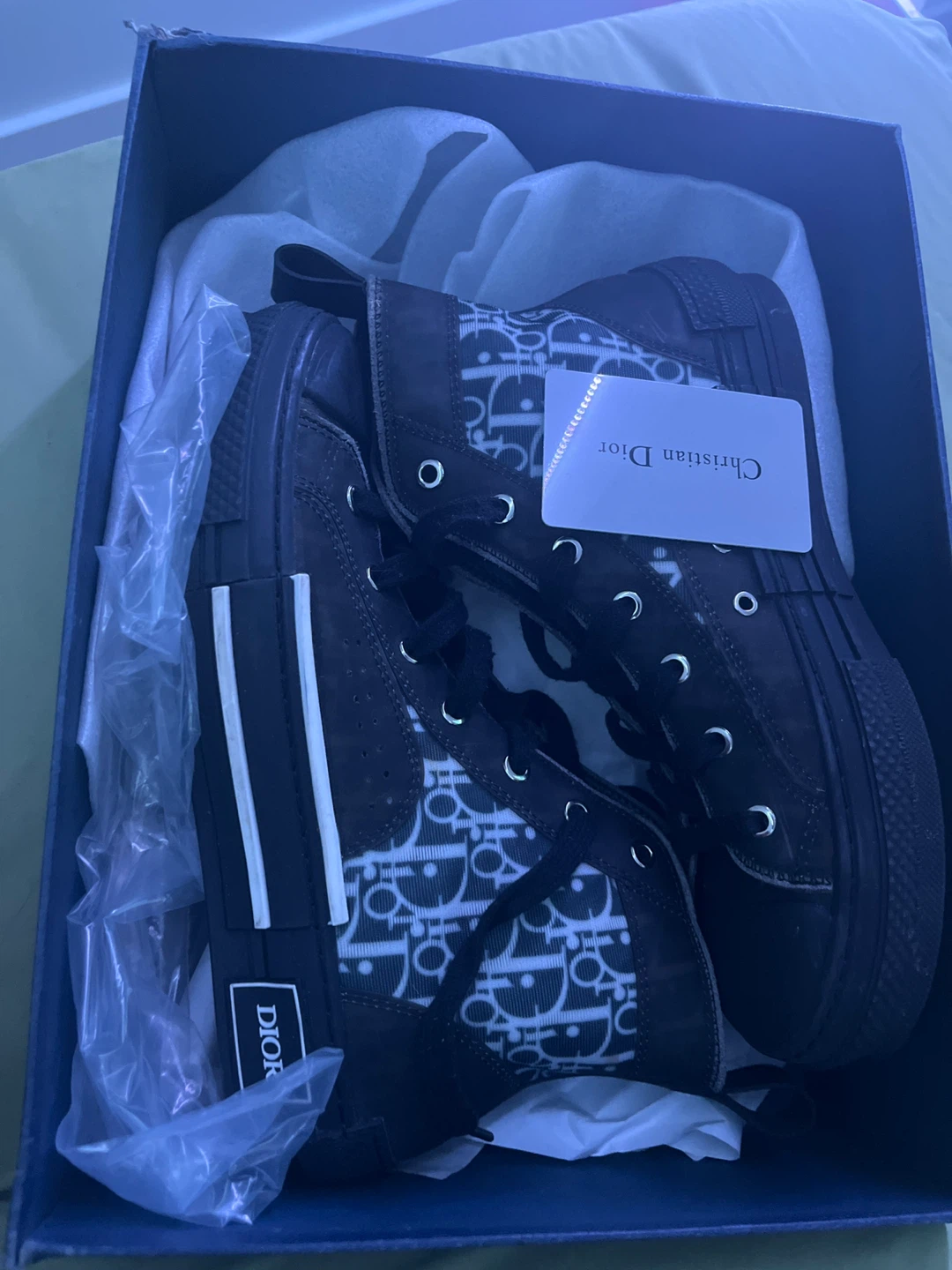 Dior sneakers