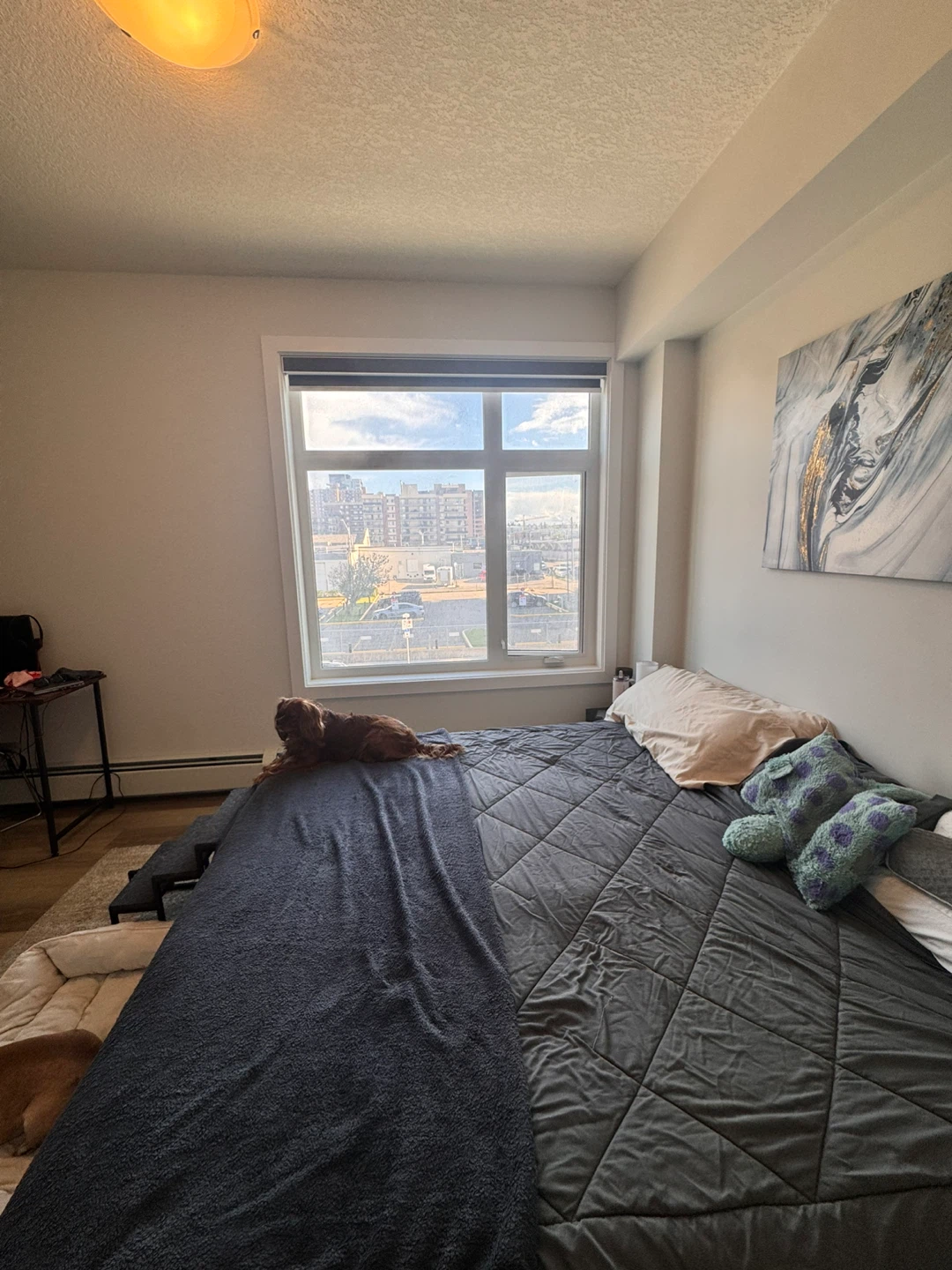 1 bedroom 1 bath Aparment downtown - photo 2