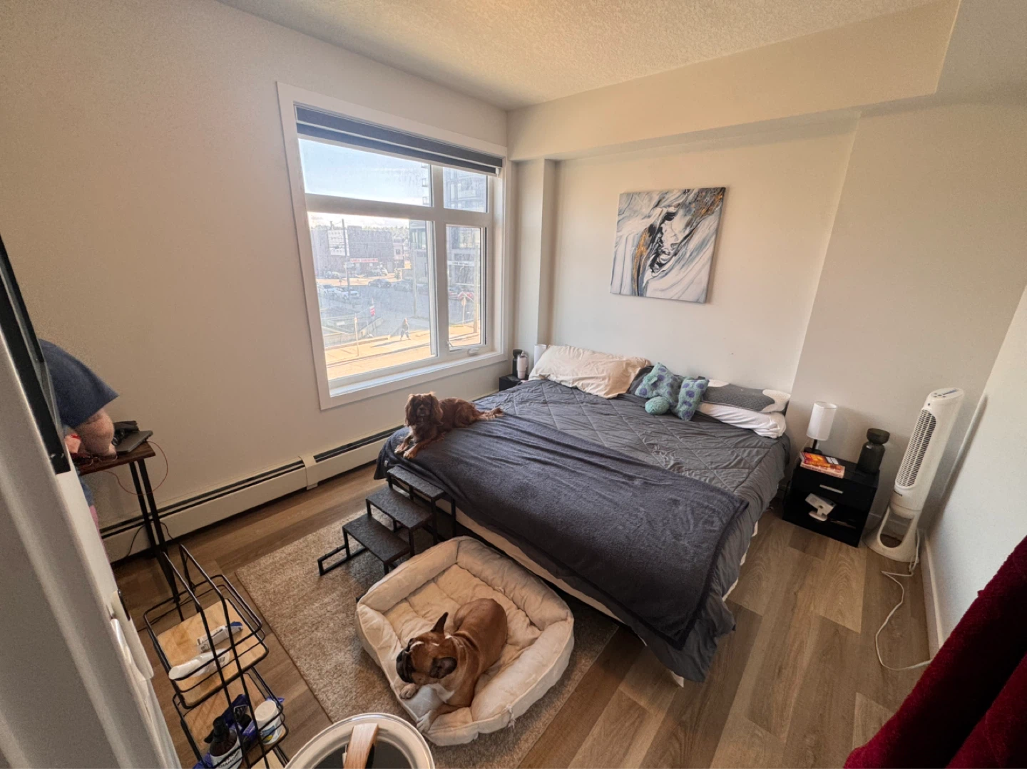 1 bedroom 1 bath Aparment downtown