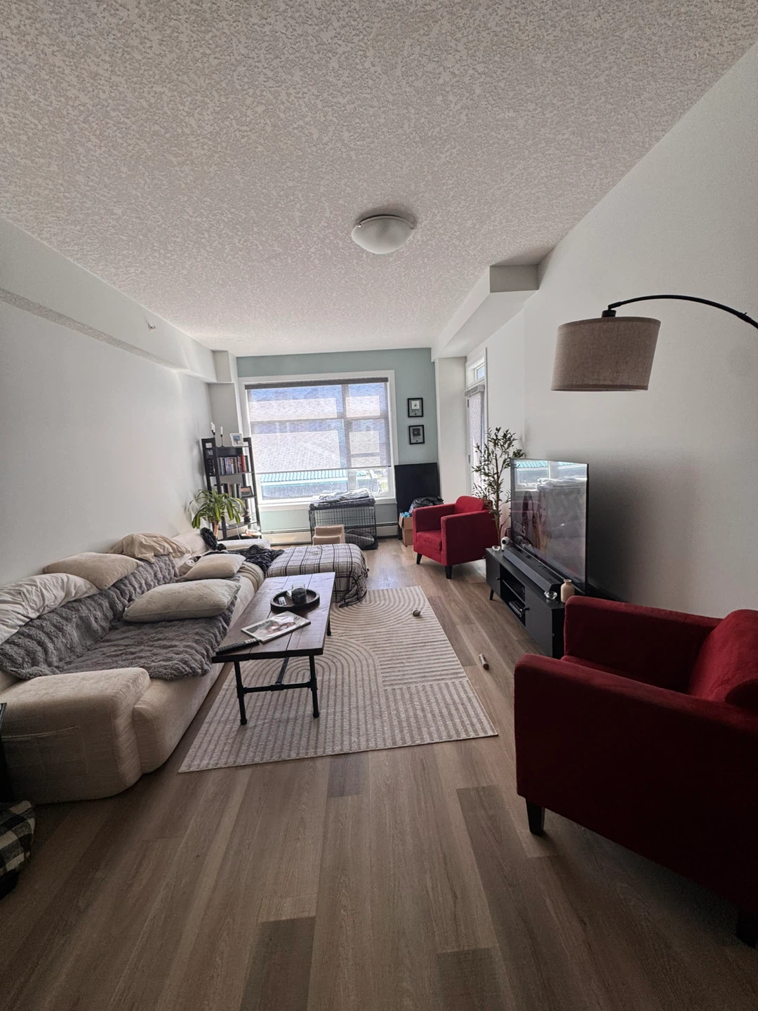 1 bedroom 1 bath Aparment downtown - photo 5