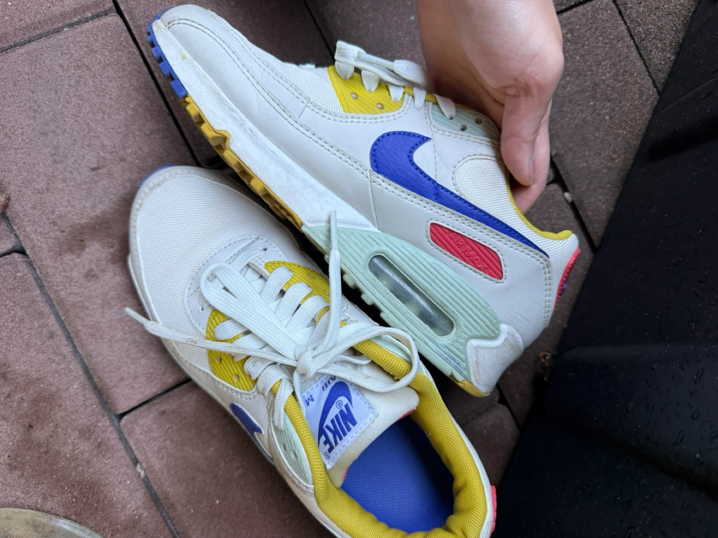 Nike Air Max 90 Shoes