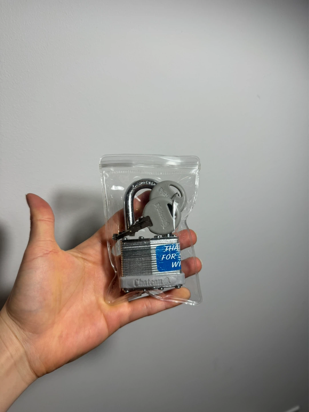 Padlock with 2 Keys