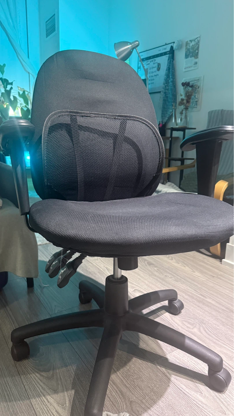 Black Ergonomic Office Chair with Lumbar Support