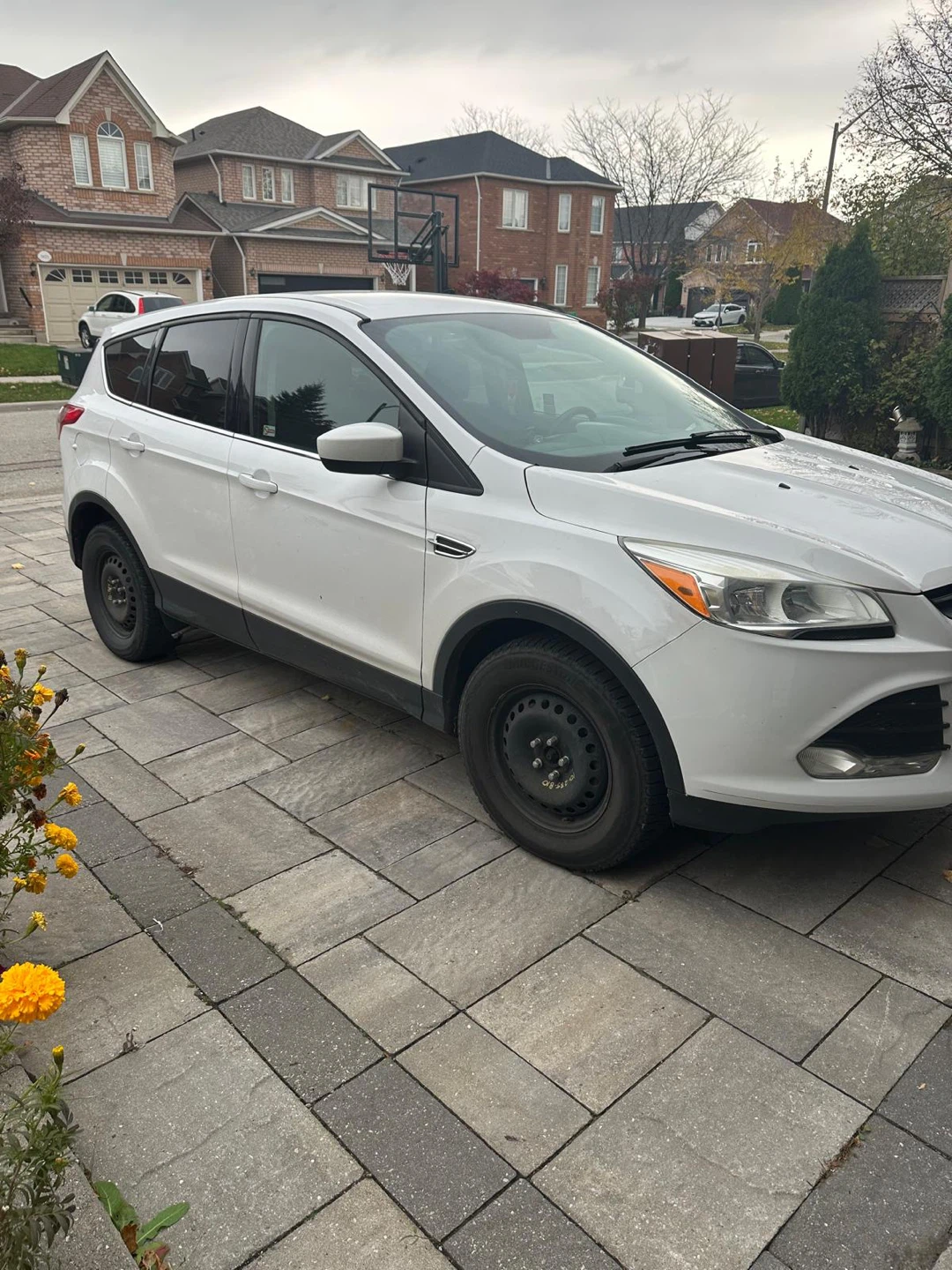 White Ford Escape SUV
