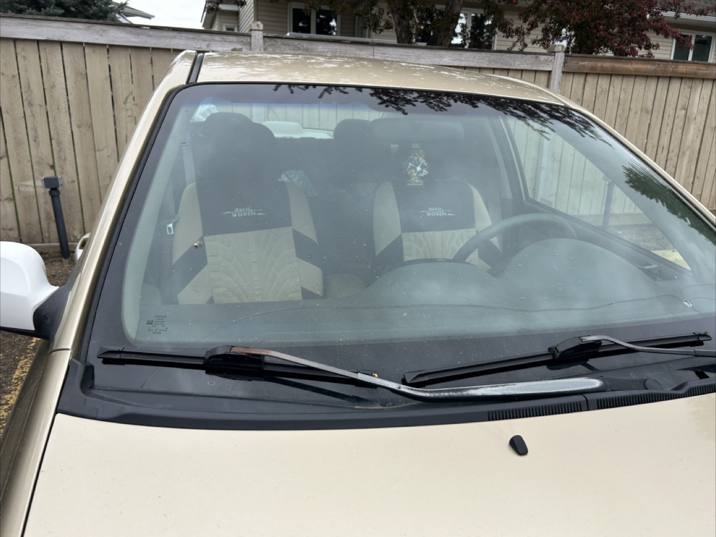 Gold 2009 Kia Spectra EX Sedan - photo 5