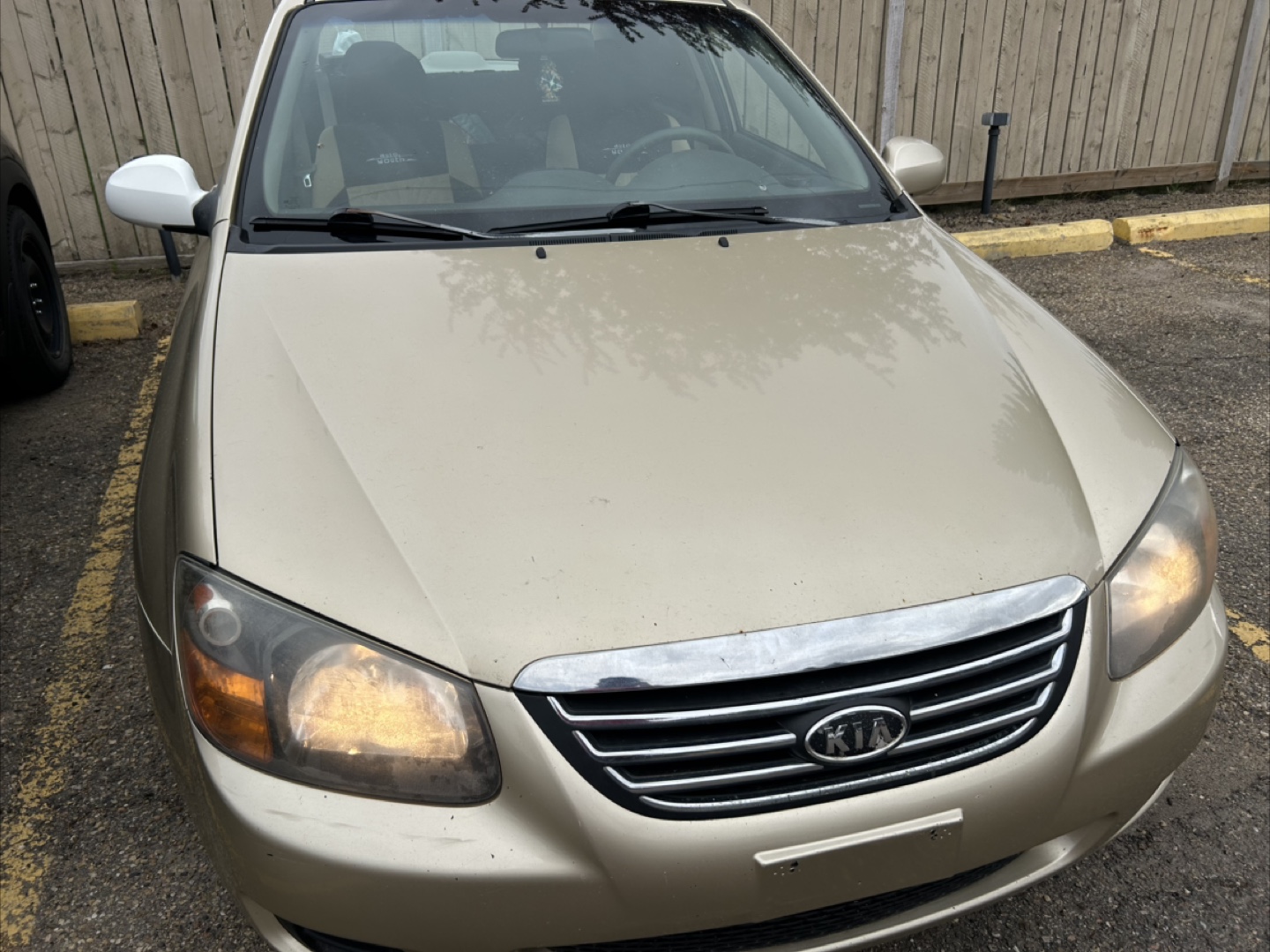 Gold 2009 Kia Spectra EX Sedan - photo 3