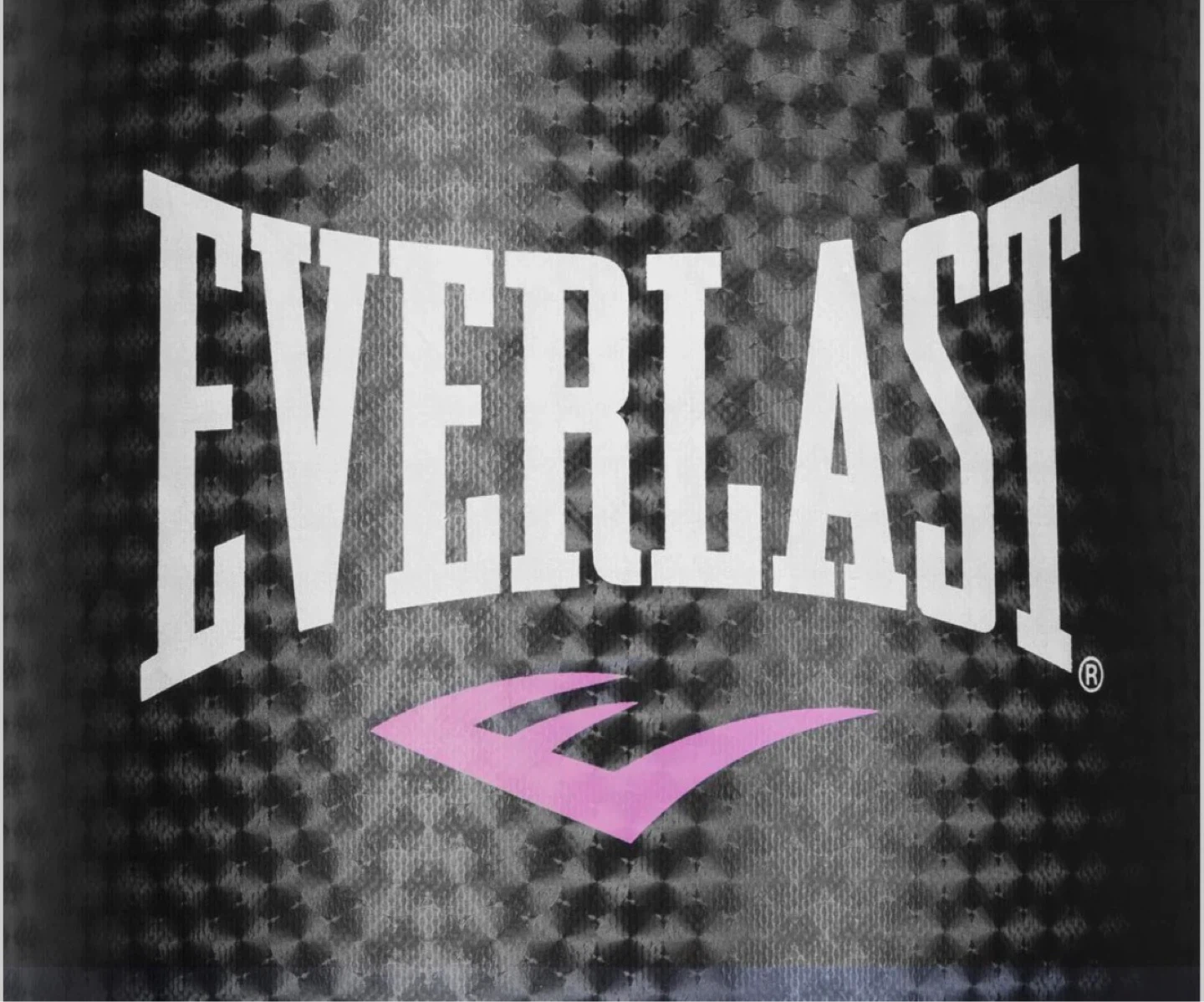 Pink Everlast punching bag
