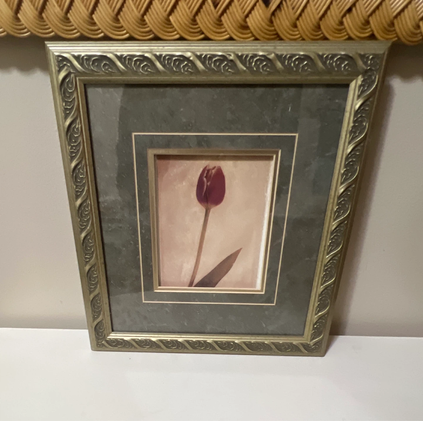 Framed Tulip Art Print