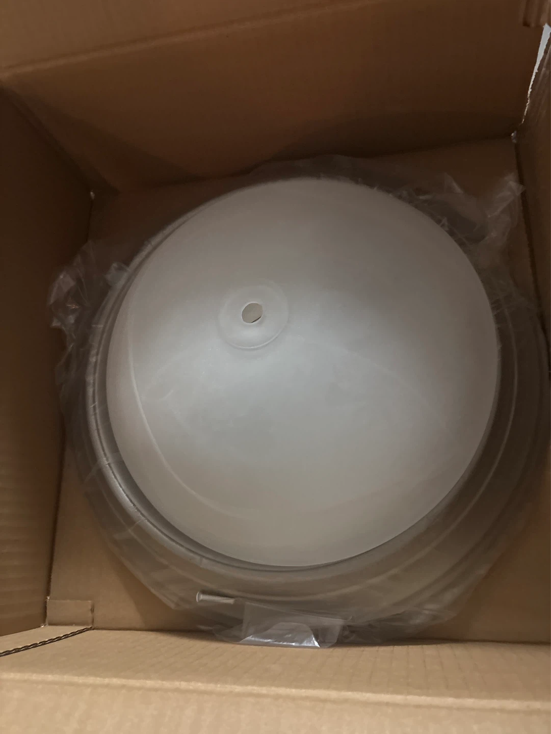 New Flush Mount Ceiling Light Fixture Globe