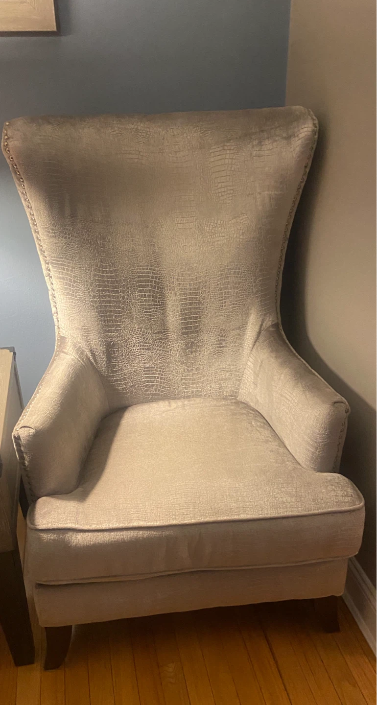 Bob”s- Velvet Accent Chair with Embossed Pattern and Stud Detail