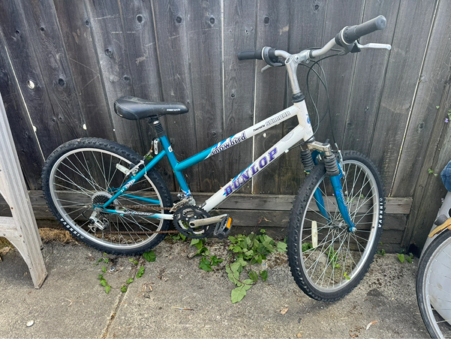 Dunlop "Snowbird" 21-Speed Mountain Bike