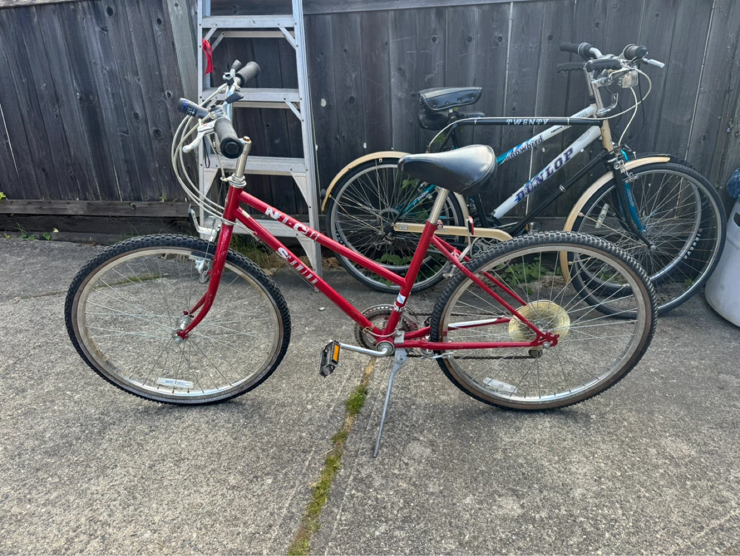 Red Mountain Bike