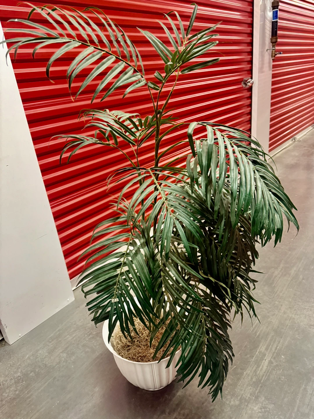 Artificial Areca Palm Plant in White Pot