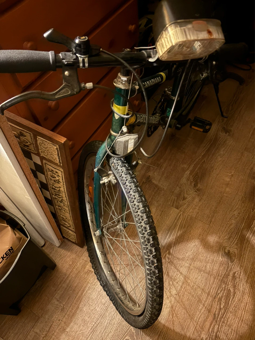 Canadian Pathfinder Bicycle - photo 3