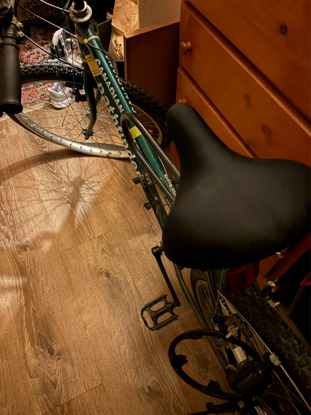 Canadian Pathfinder Bicycle