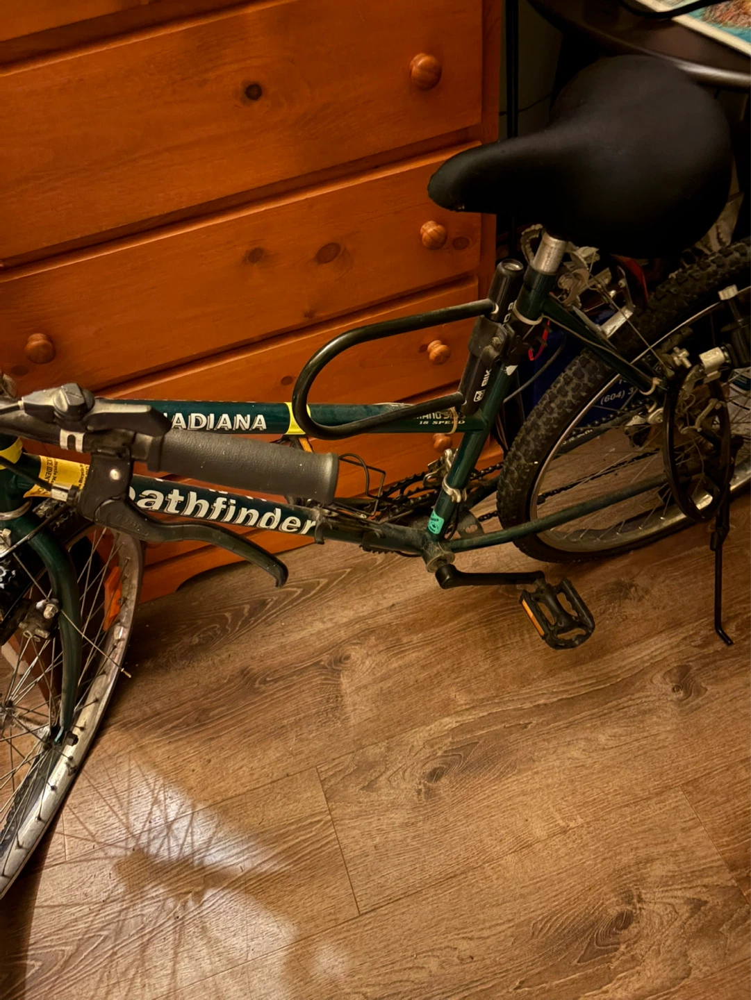 Canadian Pathfinder Bicycle - photo 2