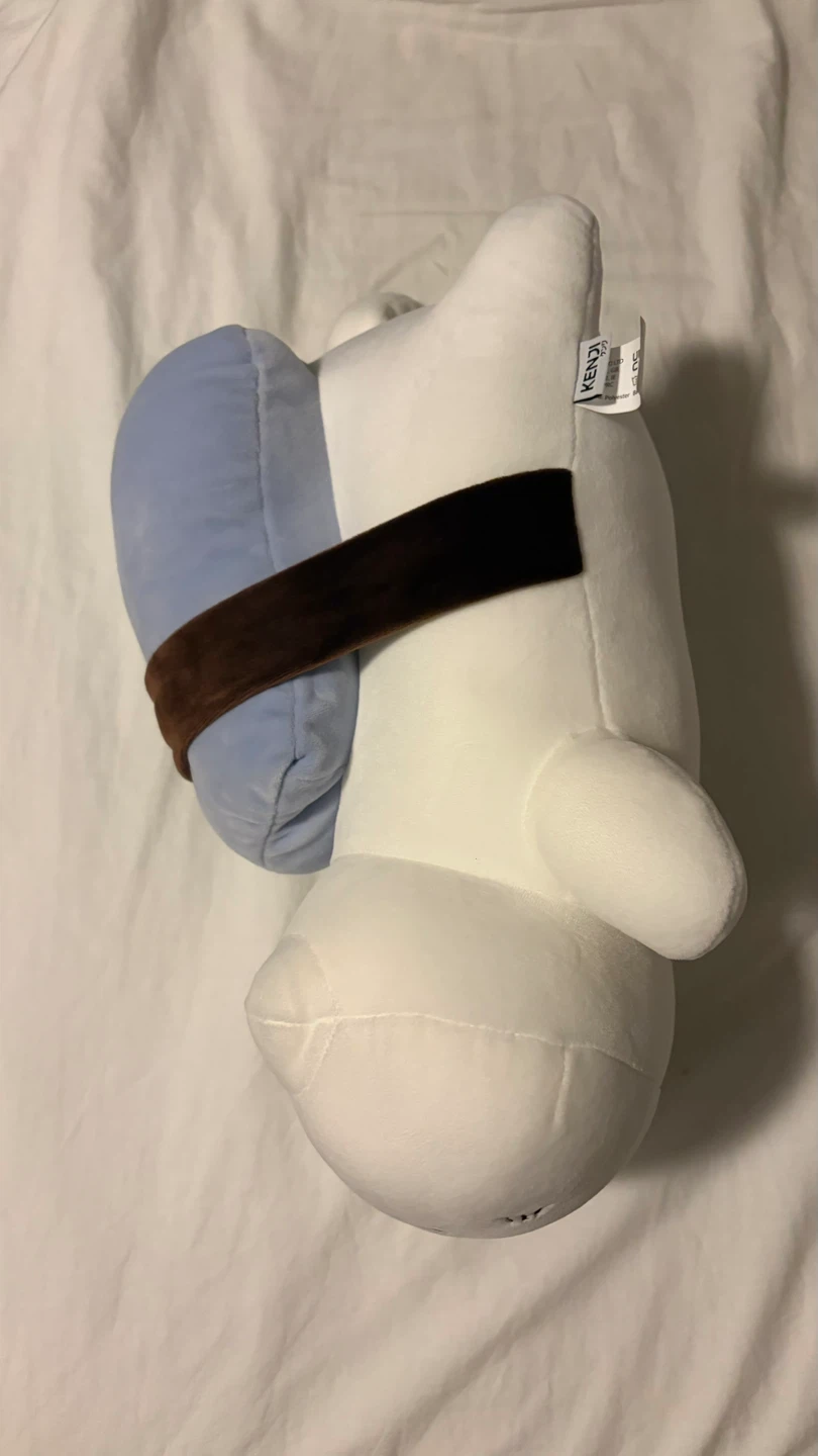 Kenji Marshmallow Cat - photo 4