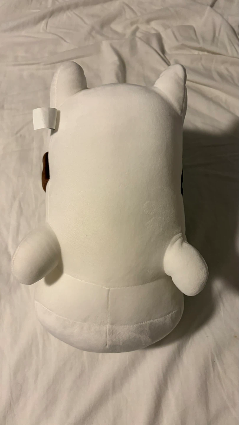 Kenji Marshmallow Cat - photo 5