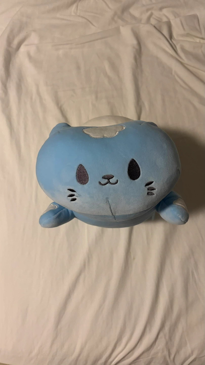 KENJI marshmallow cat