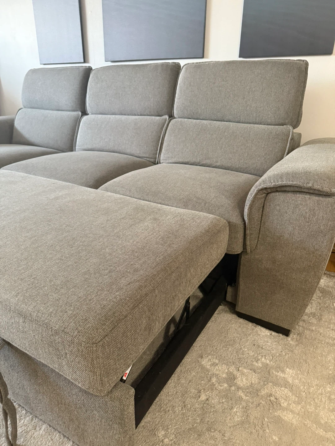Grey Sectional Sofa with Storage and Pull-Out Bed - photo 5
