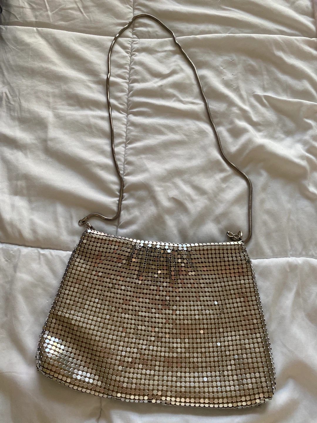 Silver Mesh Evening Bag