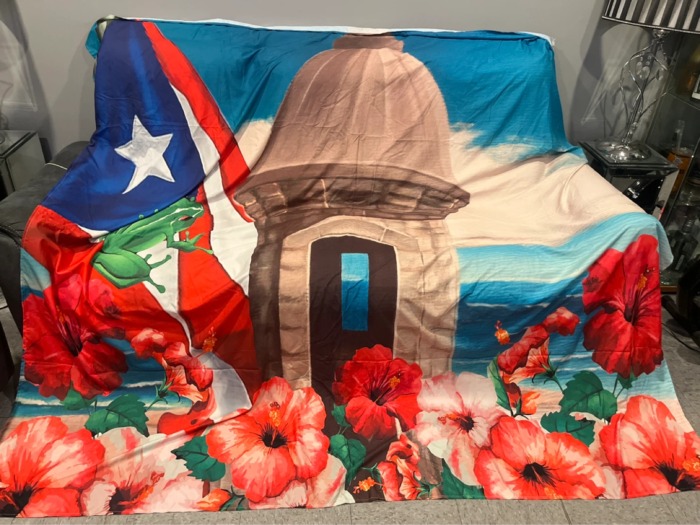 Puerto Rico Flag and El Morro Backdrop
