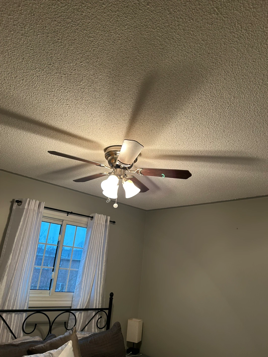 Ceiling Fan with Lights