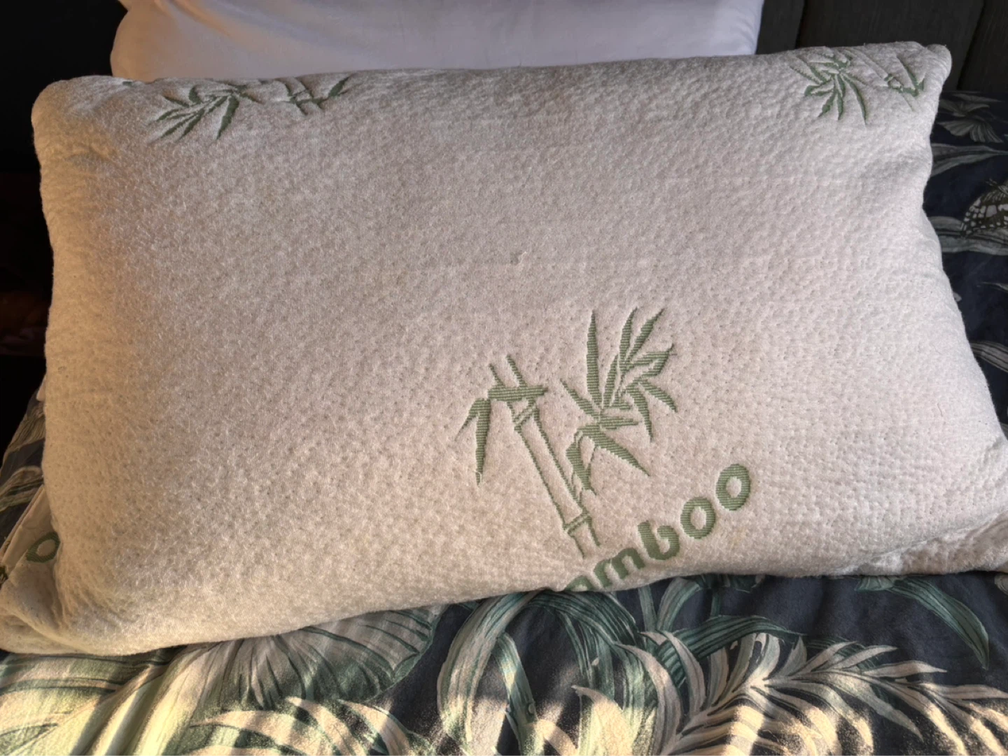 Bamboo Decor Pillow - Set of 2