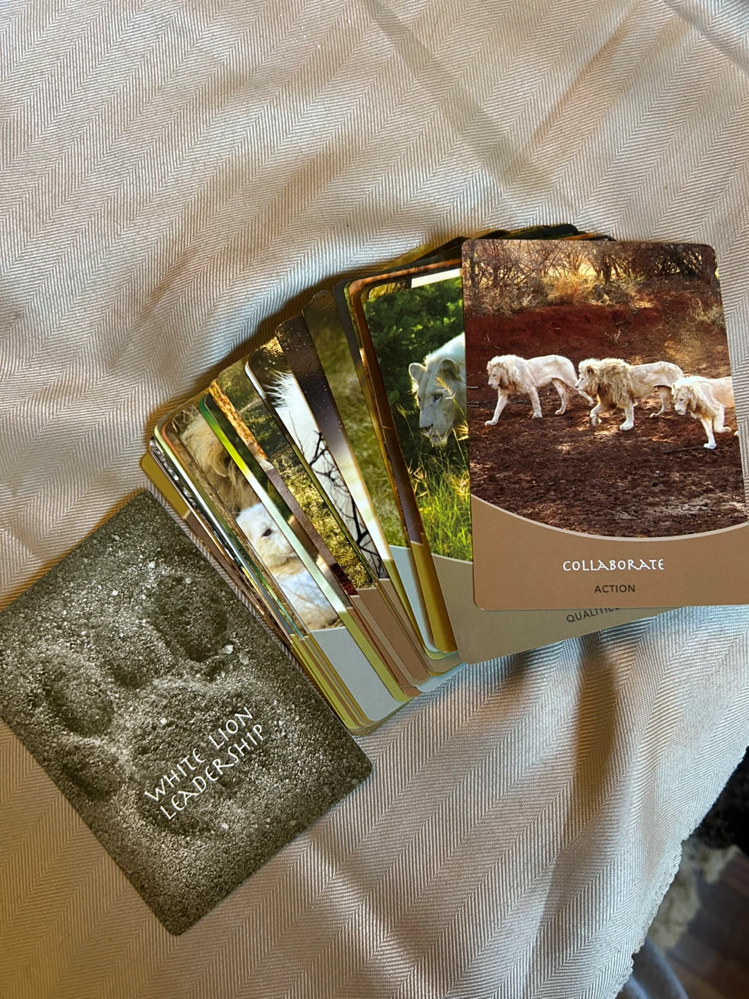 White Lion Leadership Oracle Cards