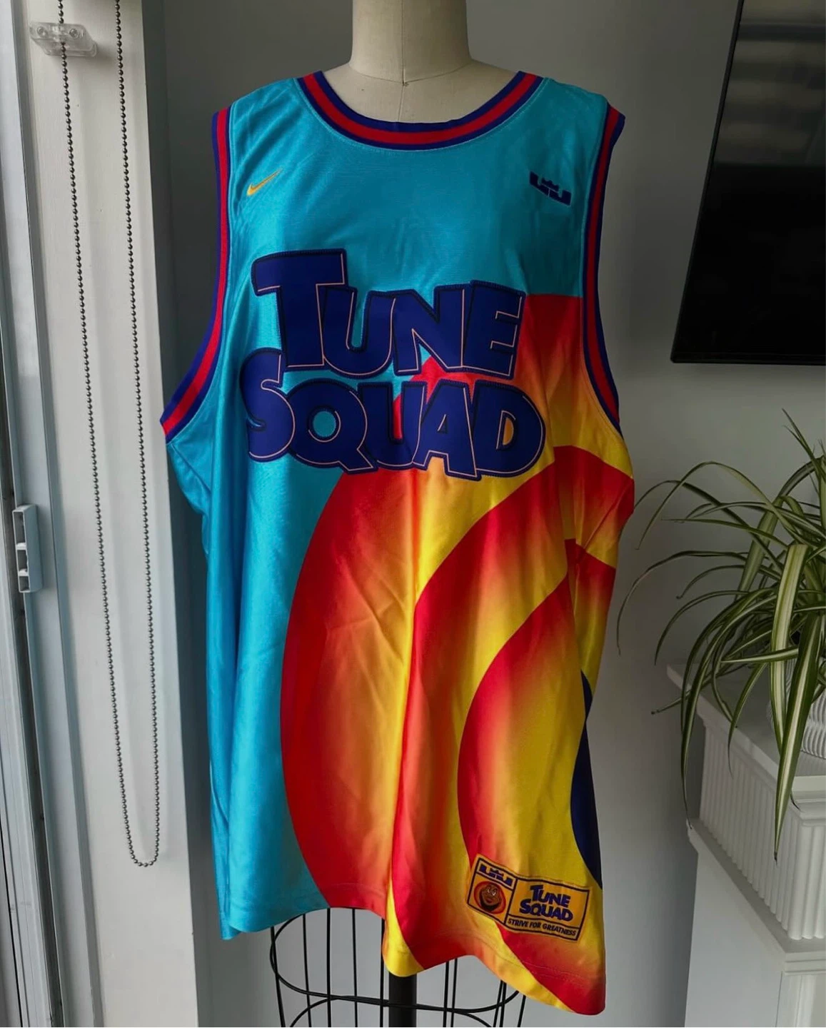 Nike Lebron James space jam tube squad jersey size XL